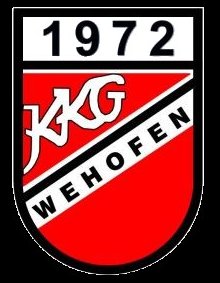 veeinslogo